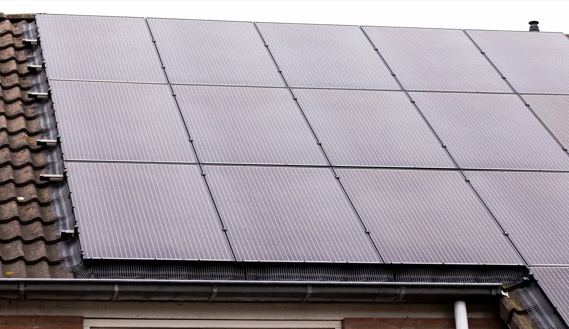zonnepanelen met vogelwering